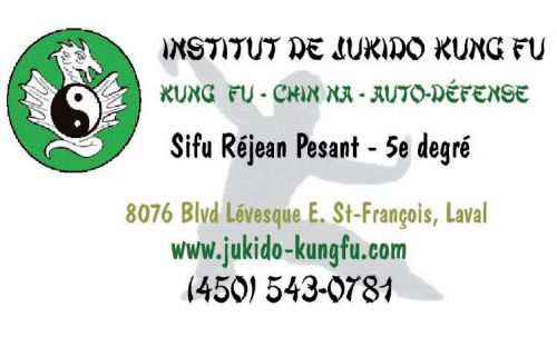 Insitut de Jukido Kung Fu